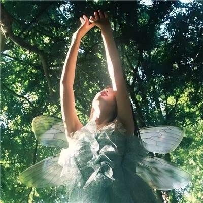 幻影杀机